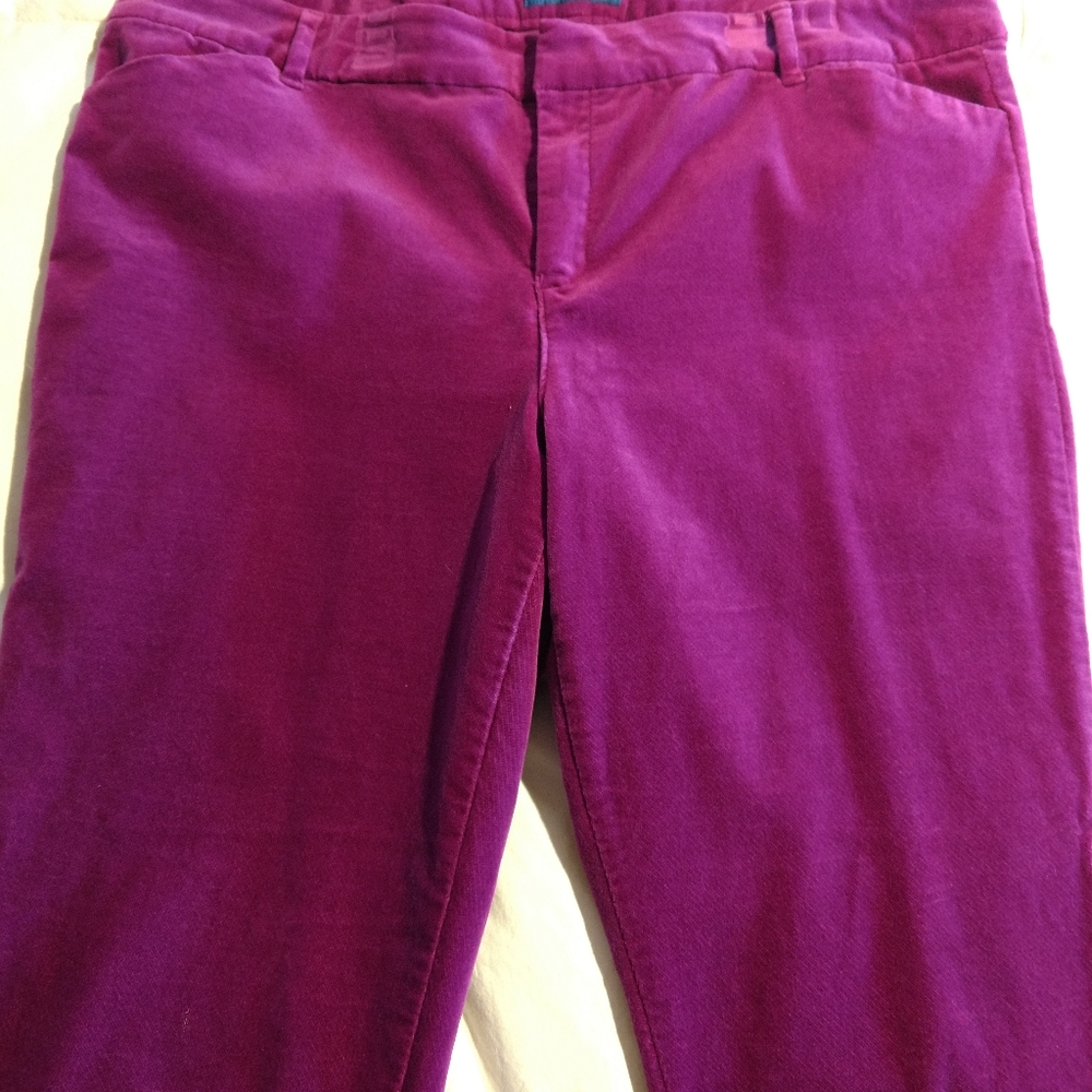 Magenta Velour Pixie Pants